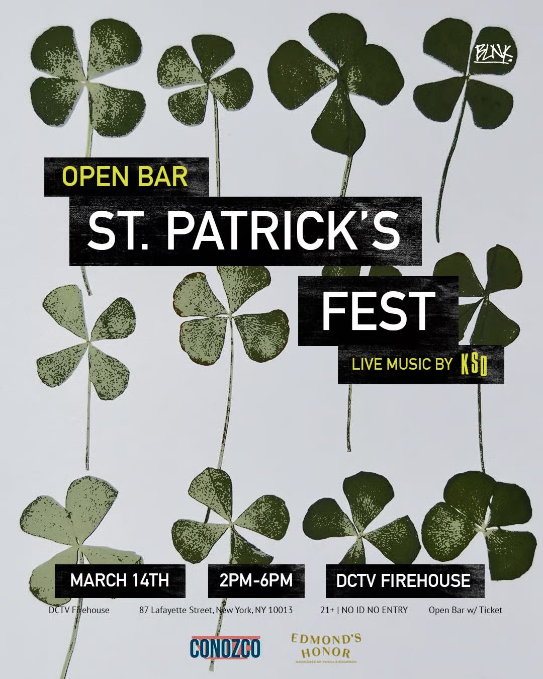St. Patricks Day — NYC (DCTV in partnership with Blank Productions)